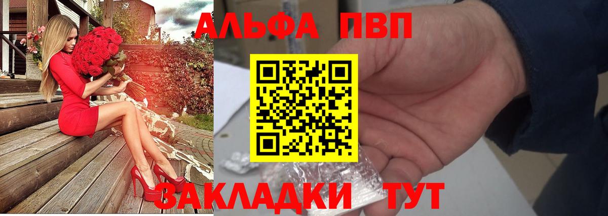 A-PVP СК КРИС Черкесск