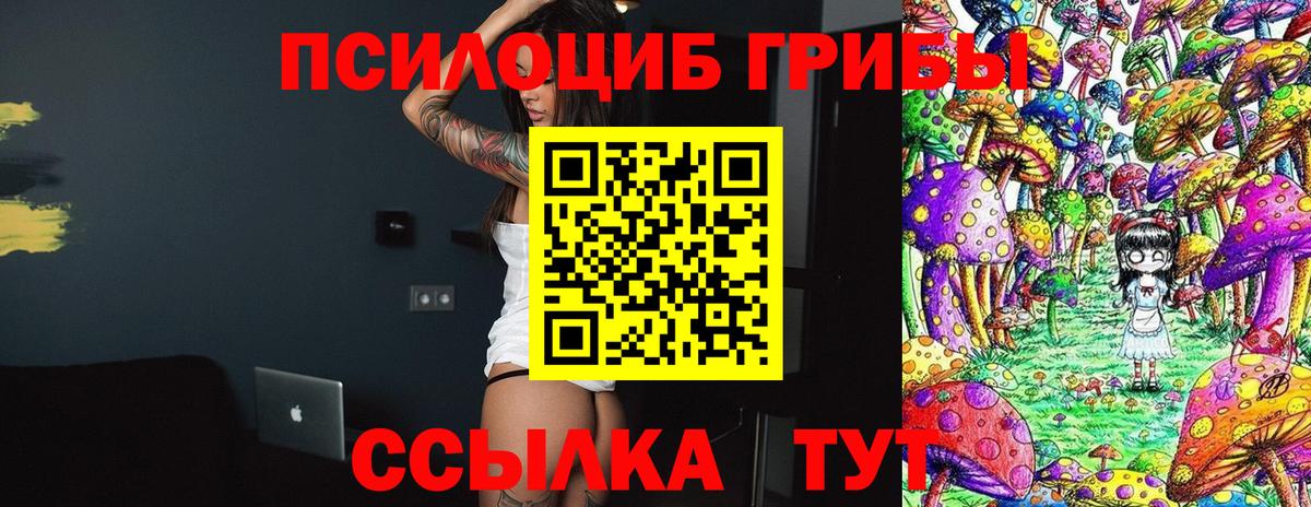 Галлюциногенные грибы MAGIC MUSHROOMS Черкесск