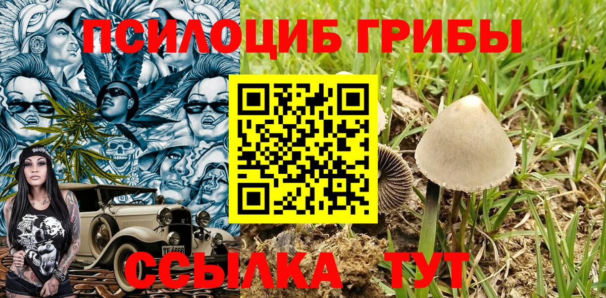 Черкесск  Галлюциногенные грибы Psilocybine cubensis  Вход с VPN  Галлюциногенные грибы прущие грибы 